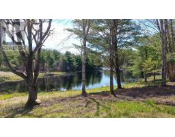 9374 Highway 8, Caledonia, NS B0T1B0 Photo 6