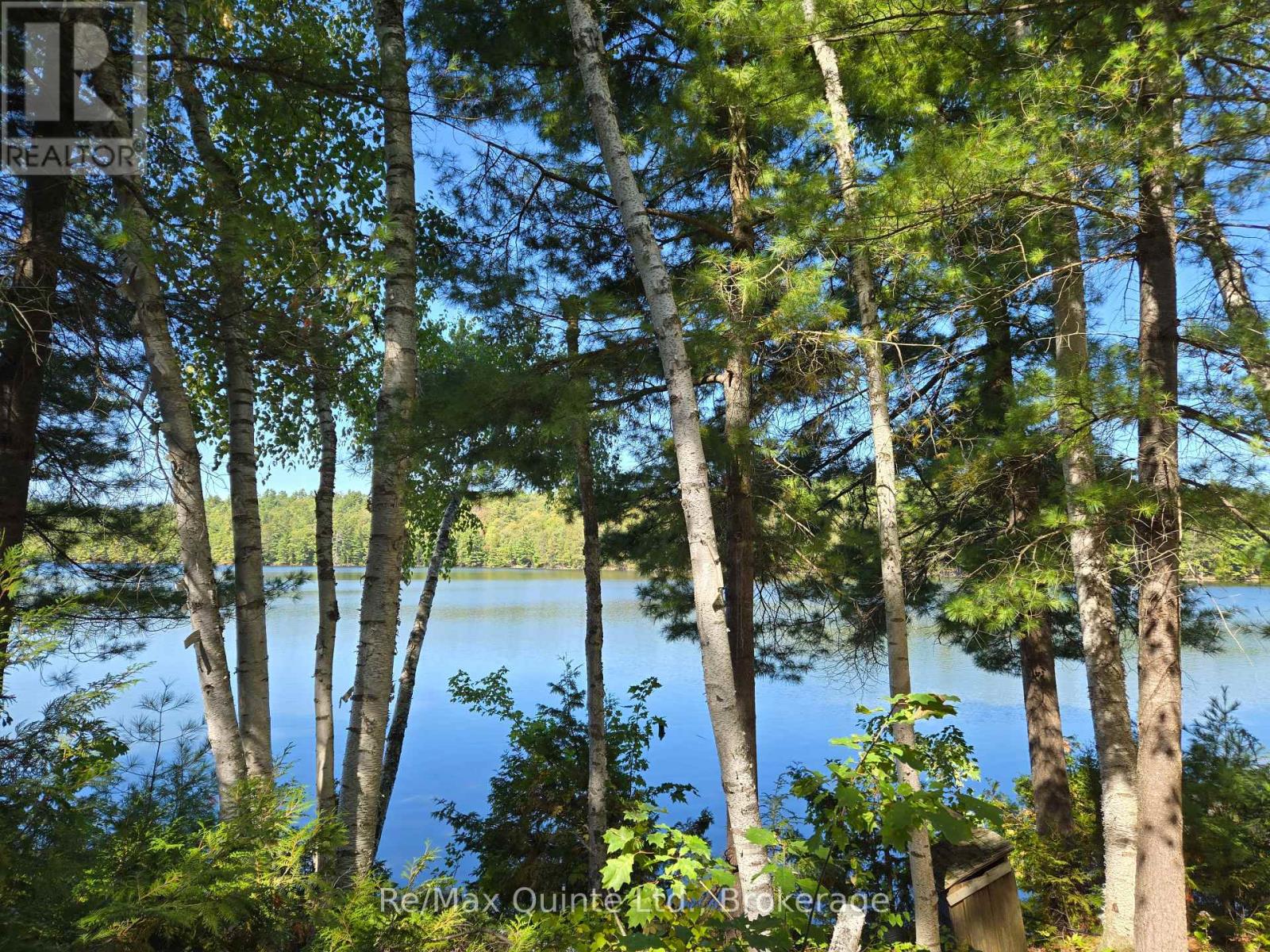 1261A SHAWENEGOG LAKE LANE - 40