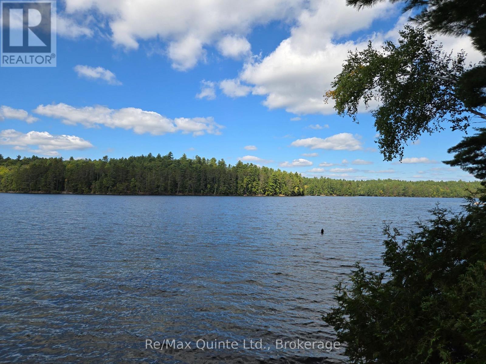 1261A SHAWENEGOG LAKE LANE - 6