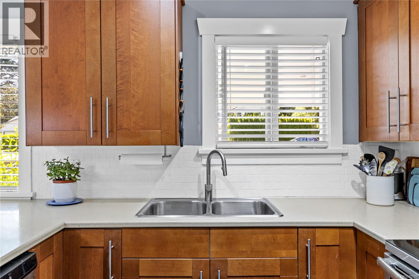 1527 Dalmatian Dr - 9