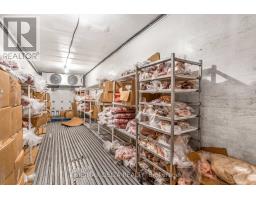 122 County Rd 15 Road, Alfred And Plantagenet, ON K0B1J0 Photo 6