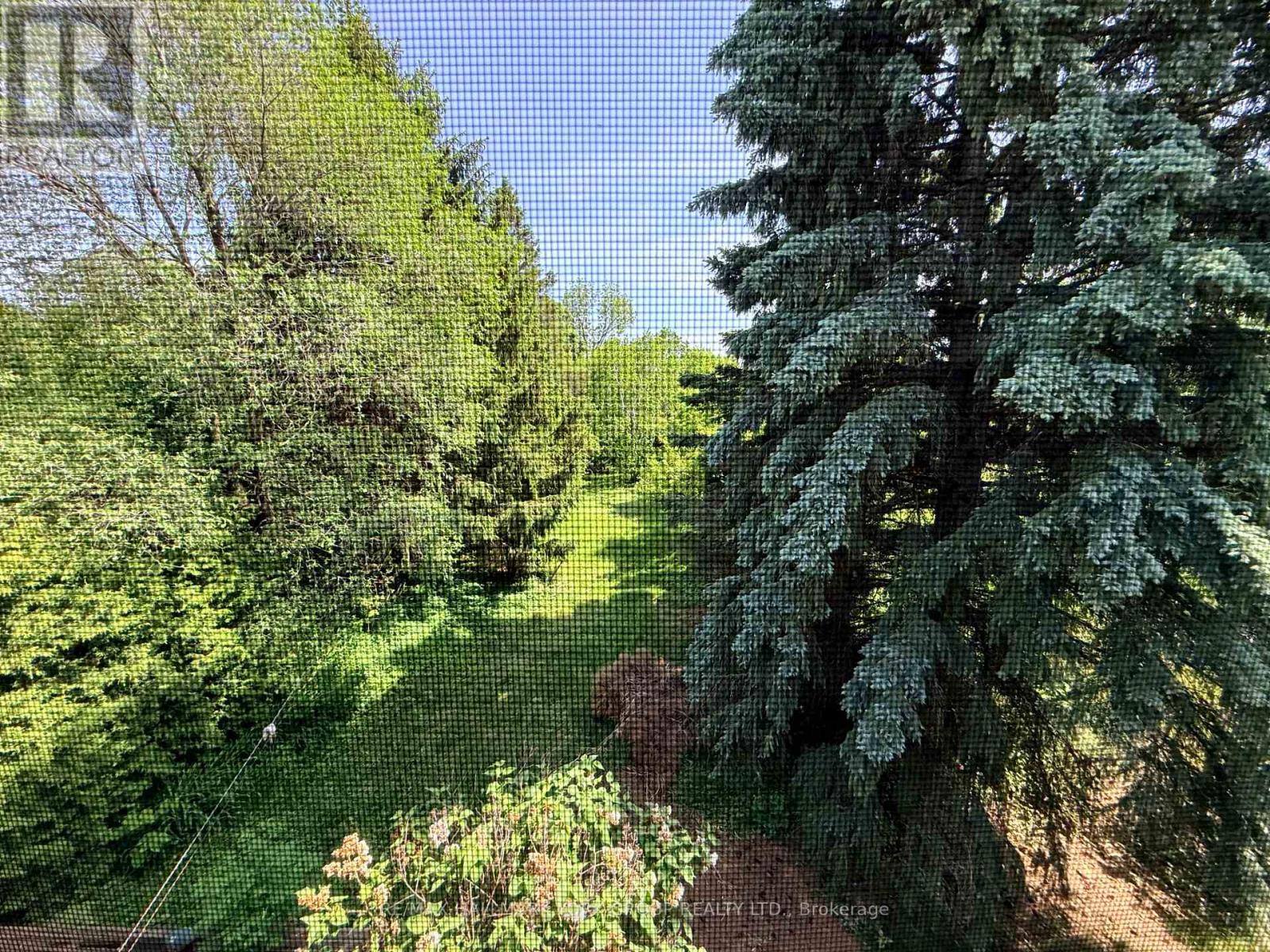 75 SPRUCE AVENUE - 9