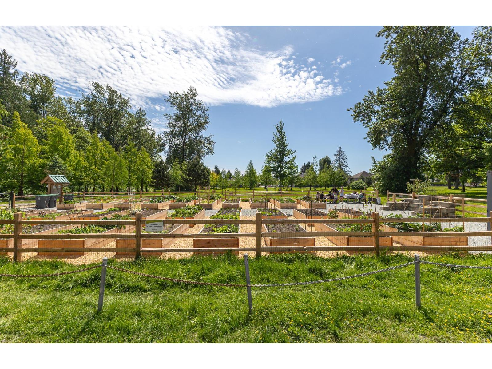 211 13455 94A AVENUE, Surrey