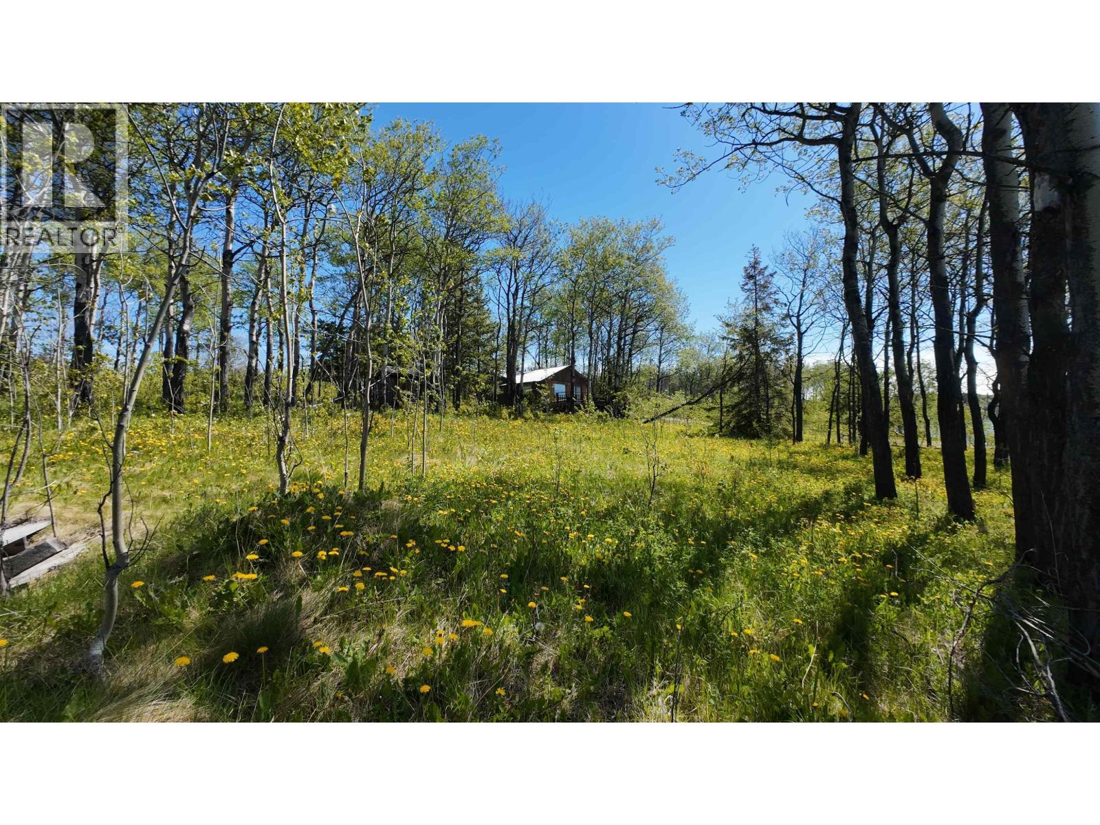 43083 BLACKWELL ROAD - 21