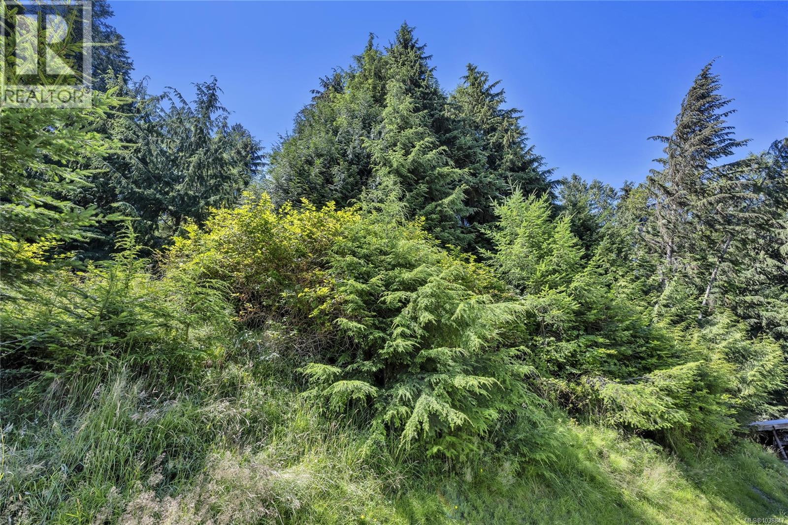 412 Isabella Point Rd - 72