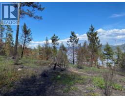 Lot 2 Westside Road, Vernon, BC V1H2E9 Photo 6