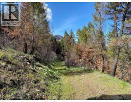 Lot 2 Westside Road, Vernon, BC V1H2E9 Photo 7