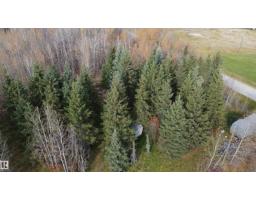 54104 RR35, Rural Lac Ste. Anne County — photo 2