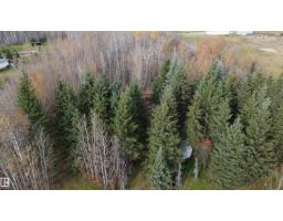 54104 Rr35, Rural Lac Ste  Anne County, AB T0E0A0 Photo 6