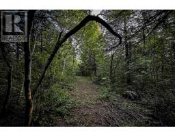 Lot 3 Outram Road, Mount Hanley, NS B0S1P0 Photo 11