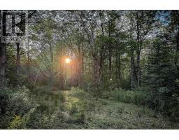 Lot 3 Outram Road, Mount Hanley, NS B0S1P0 Photo 12