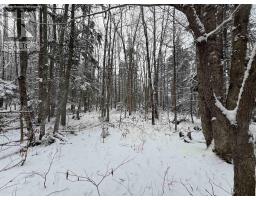 Lot 3 Outram Road, Mount Hanley, NS B0S1P0 Photo 15