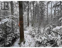 Lot 3 Outram Road, Mount Hanley, NS B0S1P0 Photo 16