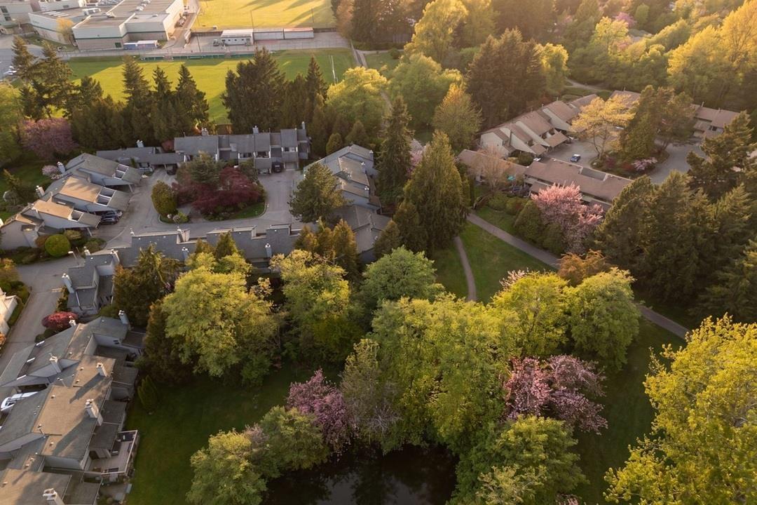 15951 ALDER PLACE, Surrey