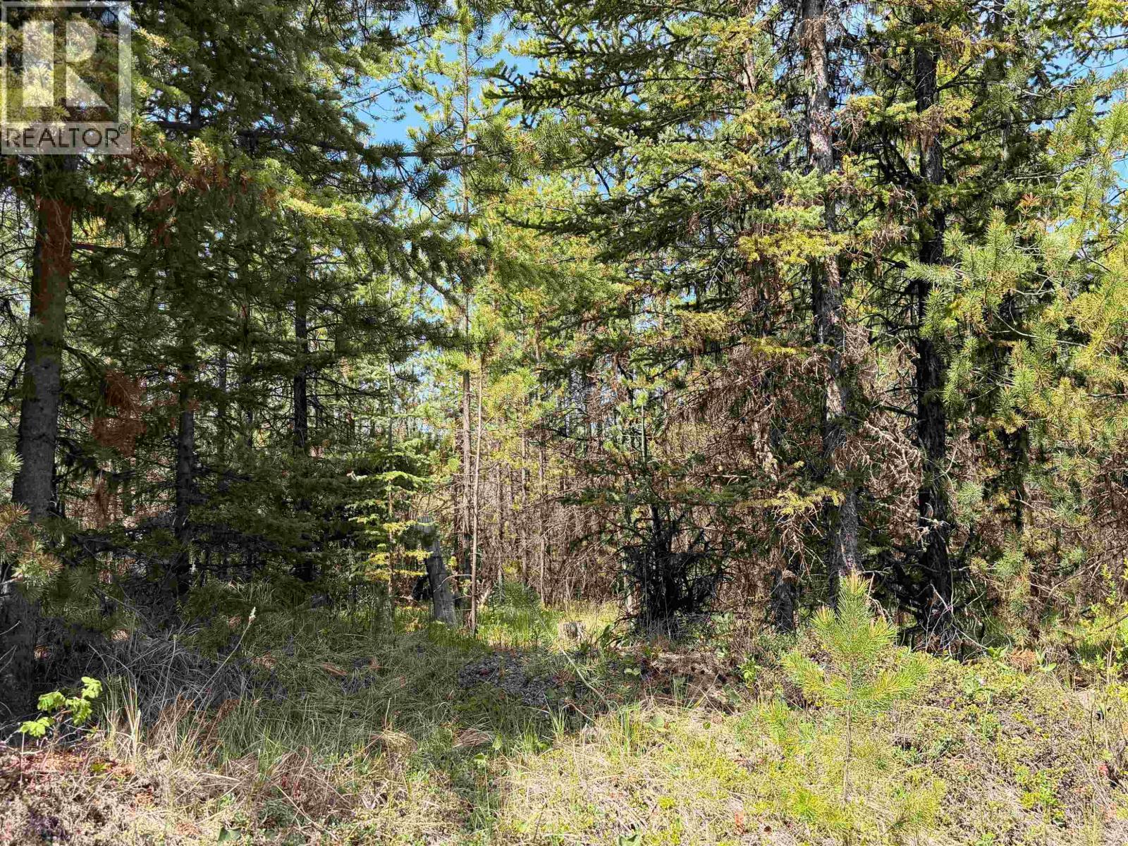 DL11479 SPOUT LAKE ROAD, Lac La Hache