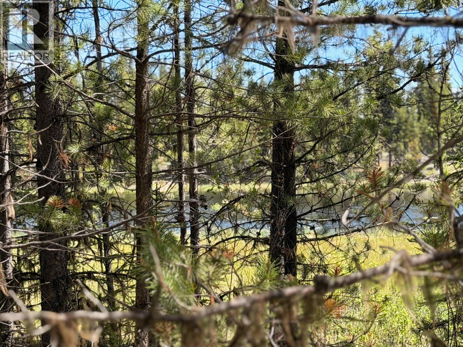 DL11479 SPOUT LAKE ROAD, Lac La Hache