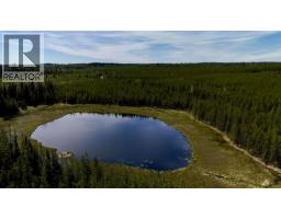 Dl 11479 Spout Lake Road, Lac La Hache, BC V0K1T0 Photo 10