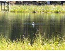 Dl 11479 Spout Lake Road, Lac La Hache, BC V0K1T0 Photo 13