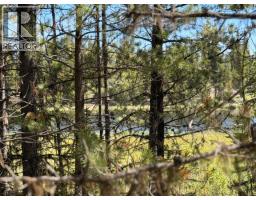 Dl 11479 Spout Lake Road, Lac La Hache, BC V0K1T0 Photo 6