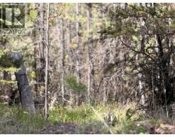 Dl 11479 Spout Lake Road, Lac La Hache, BC V0K1T0 Photo 7