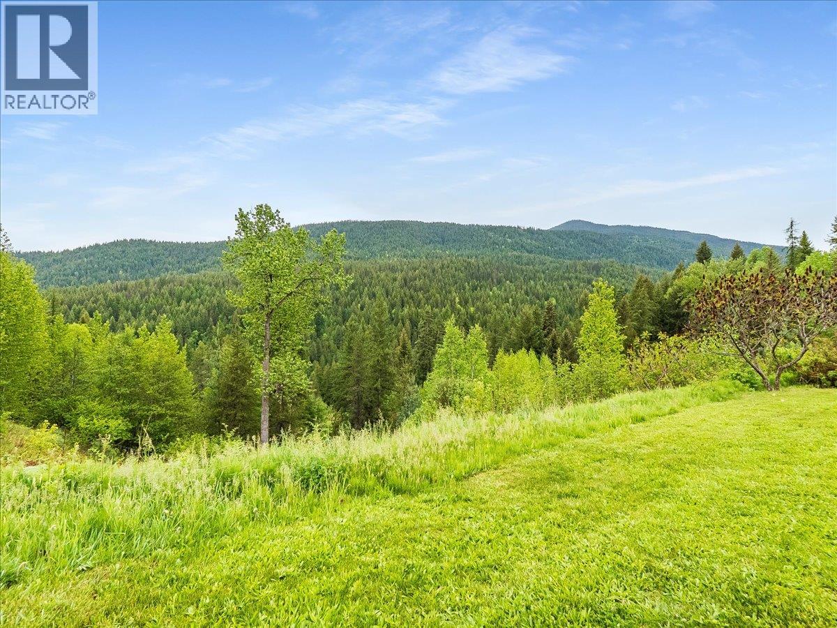 3752 Krestova Cemetery Road - 12