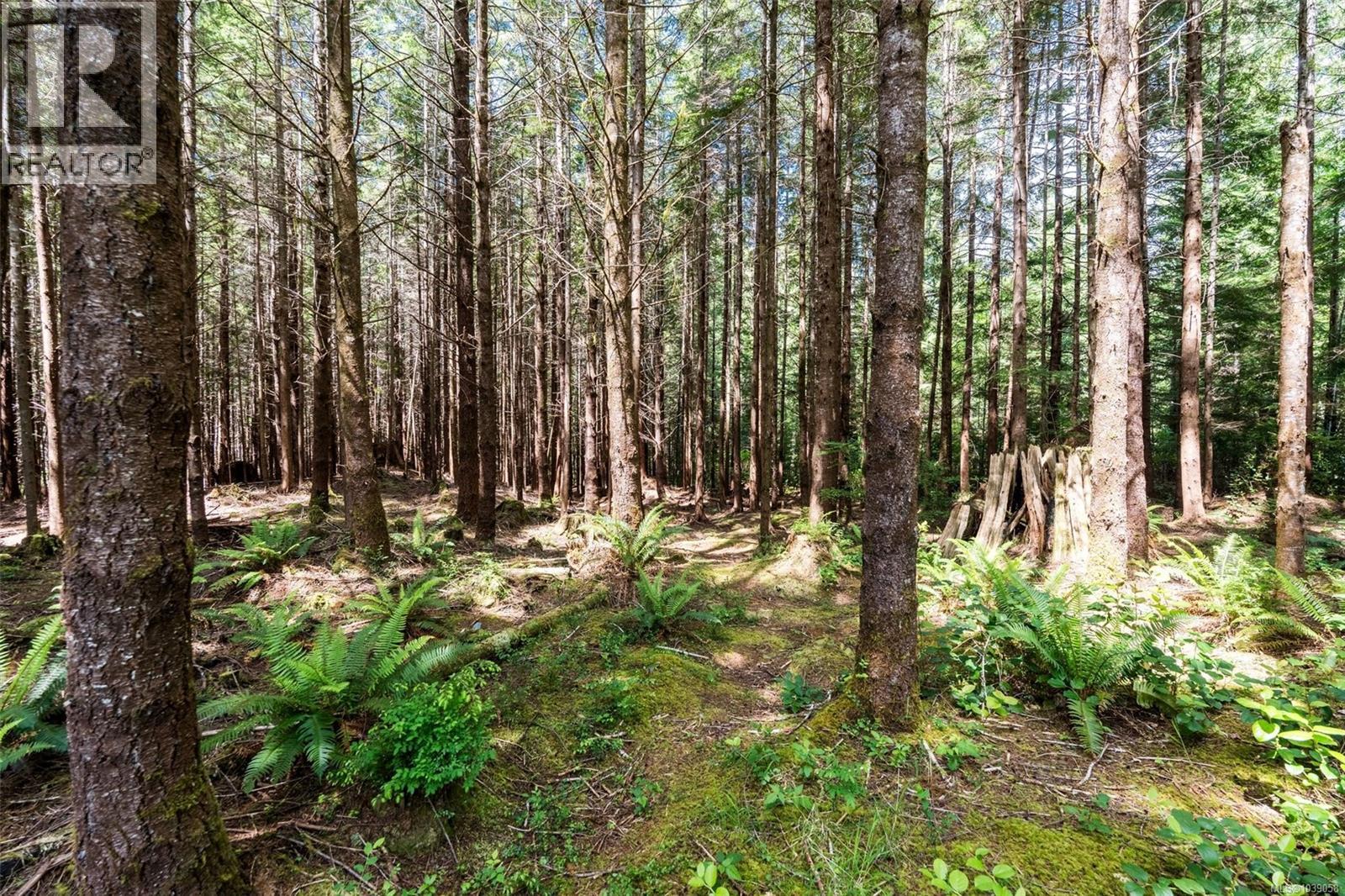 3890 Trailhead Dr - 5