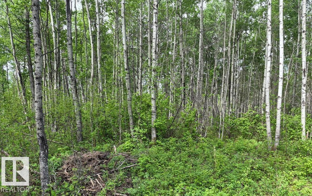 137 5519 TWP RD 550 — photo 10