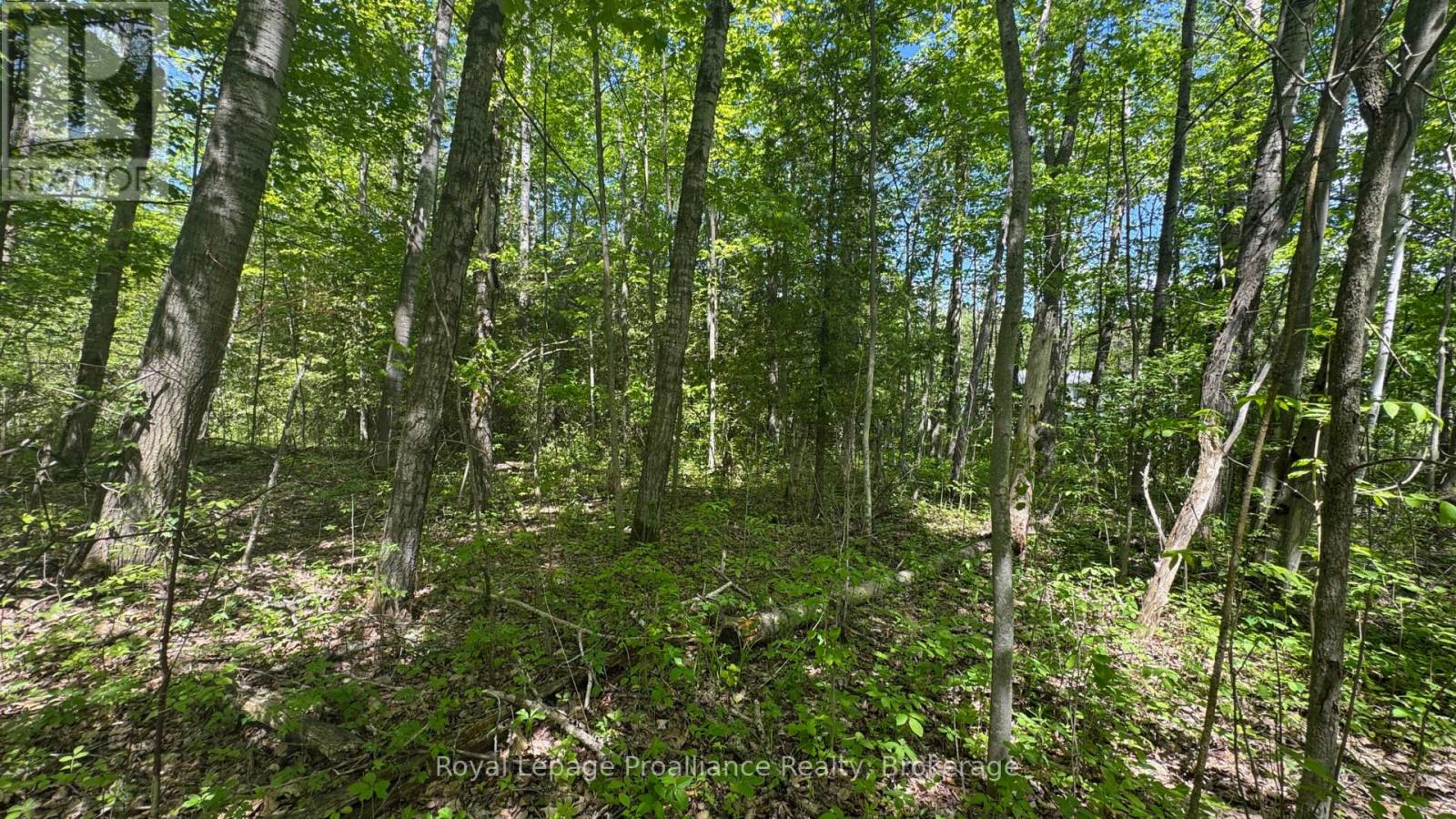 0 TEAL ROAD, Quinte West (Murray Ward) — photo 2