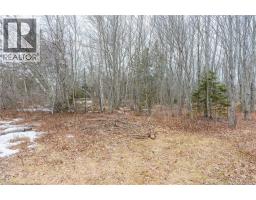 Lot 75-6 Petite Riviere, Aldouane, NB E4W5C1 Photo 13