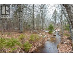 Lot 75-6 Petite Riviere, Aldouane, NB E4W5C1 Photo 25