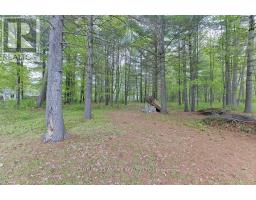 2889 Petawawa Boulevard, Petawawa, ON K8H1Y1 Photo 42