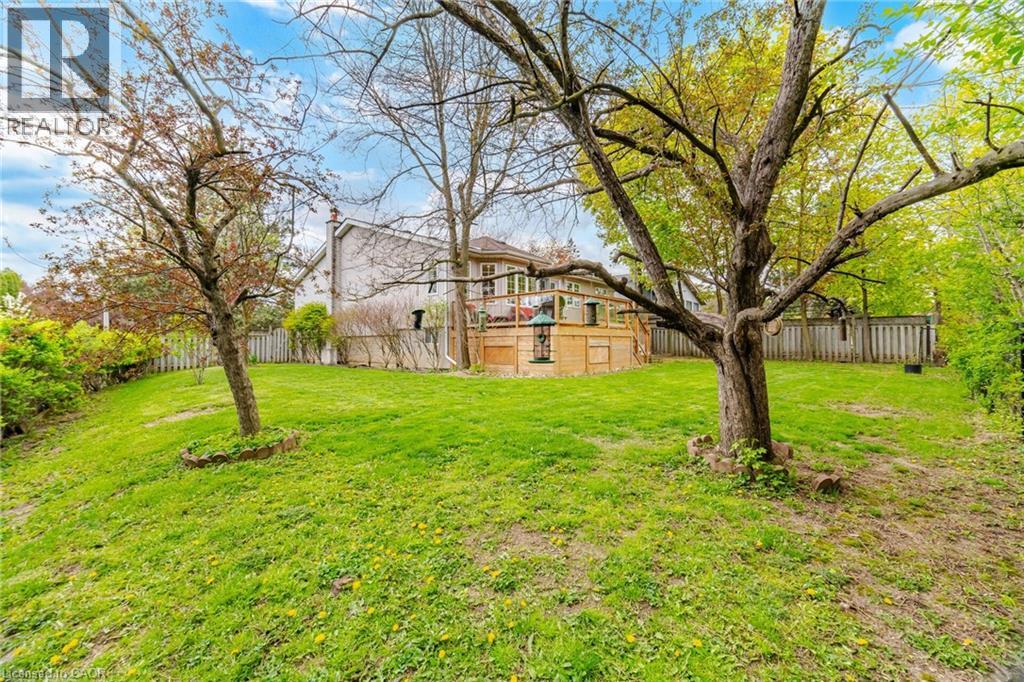 41 PLAINSMAN Road - 37