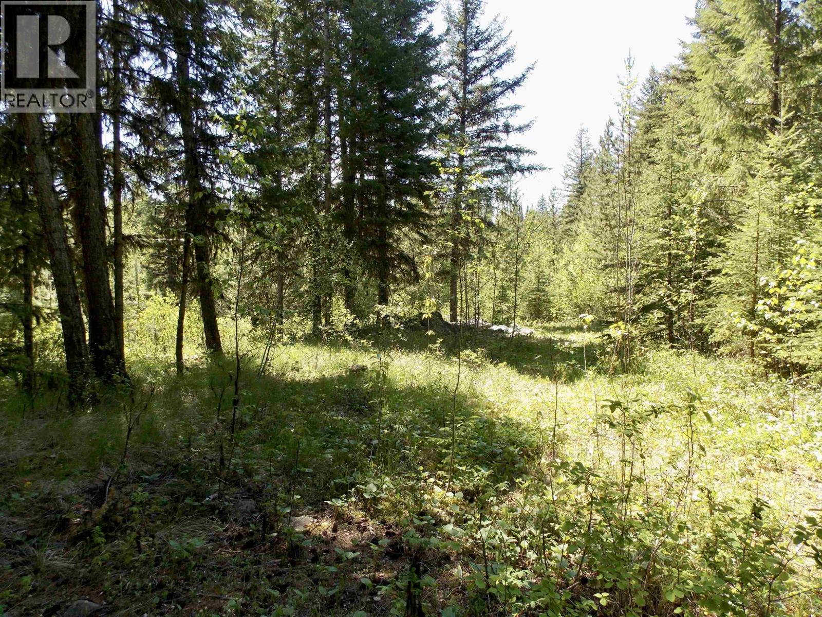 LOT 2 STARLIKE LAKE ROAD, Horsefly