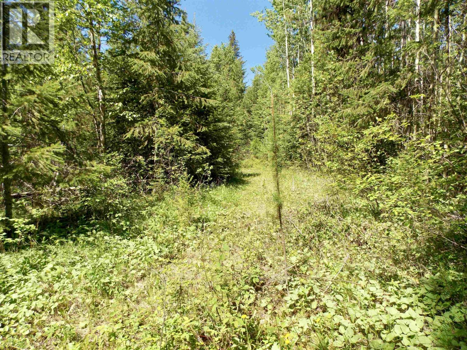 LOT 2 STARLIKE LAKE ROAD, Horsefly