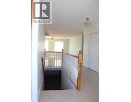 503 5th Avenue  Ne, Manning, AB T0H2M0 Photo 39