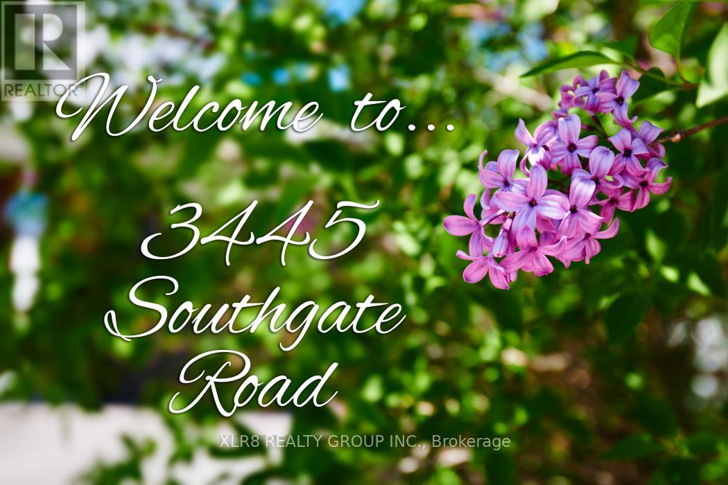 3445 SOUTHGATE ROAD - 2