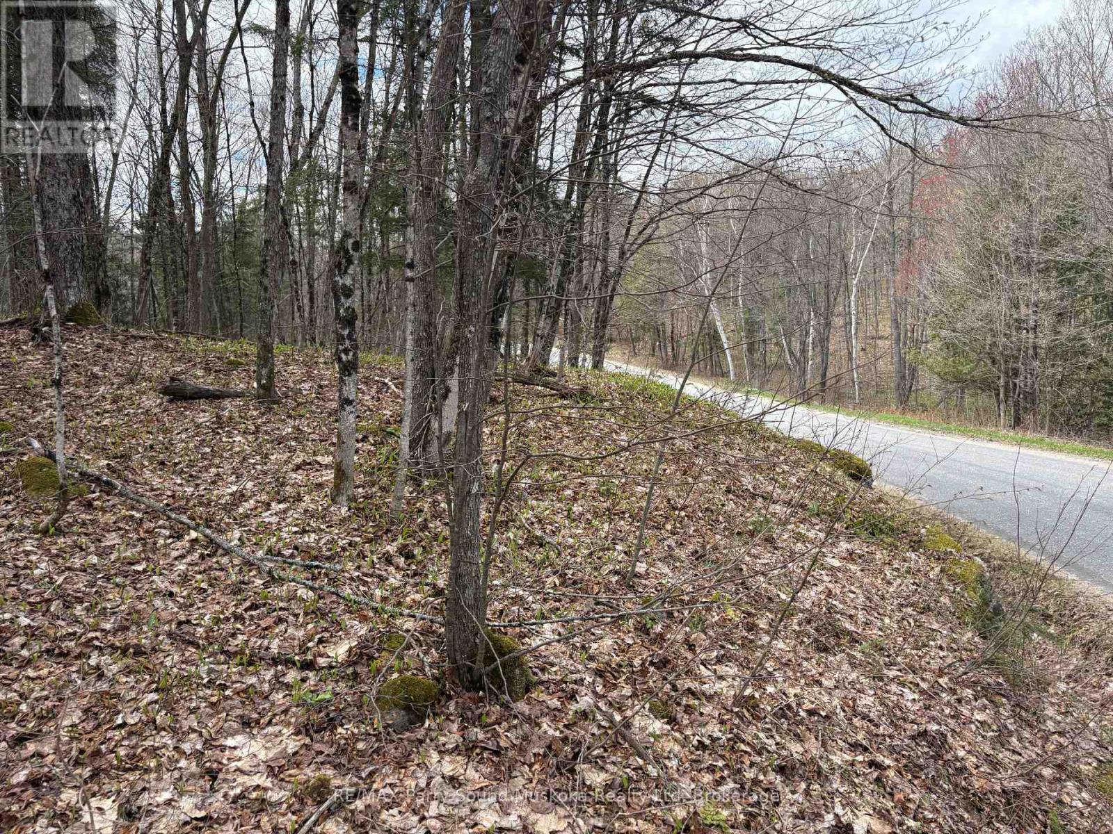 0 AHMIC LAKE ROAD, Magnetawan (Spence) — photo 3