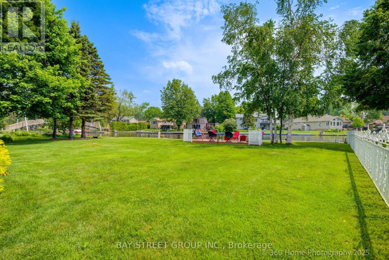 50 TURTLE PATH - 4