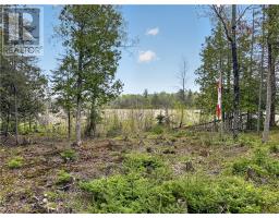 18246 Highway 540, Evansville, ON P0P1E0 Photo 22