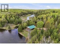 119 Gaffney Lake Lane, Bancroft, ON K0L1C0 Photo 45