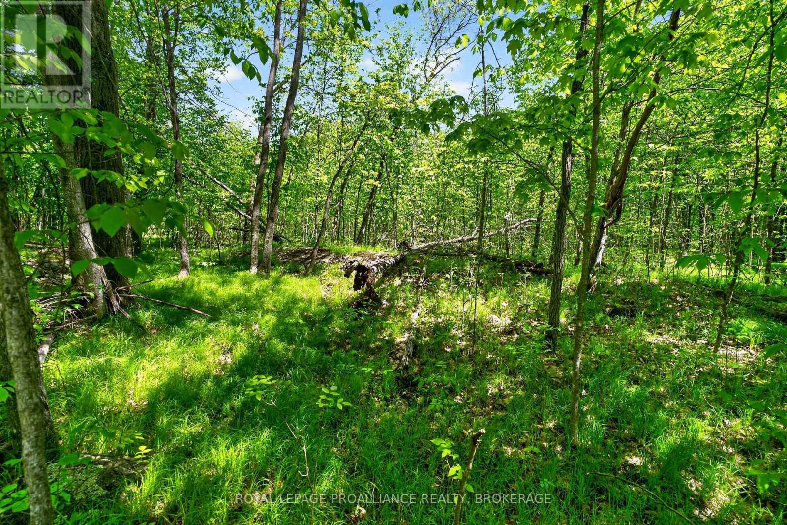 PT LTS 12 & 13 DEVIL LAKE ROAD