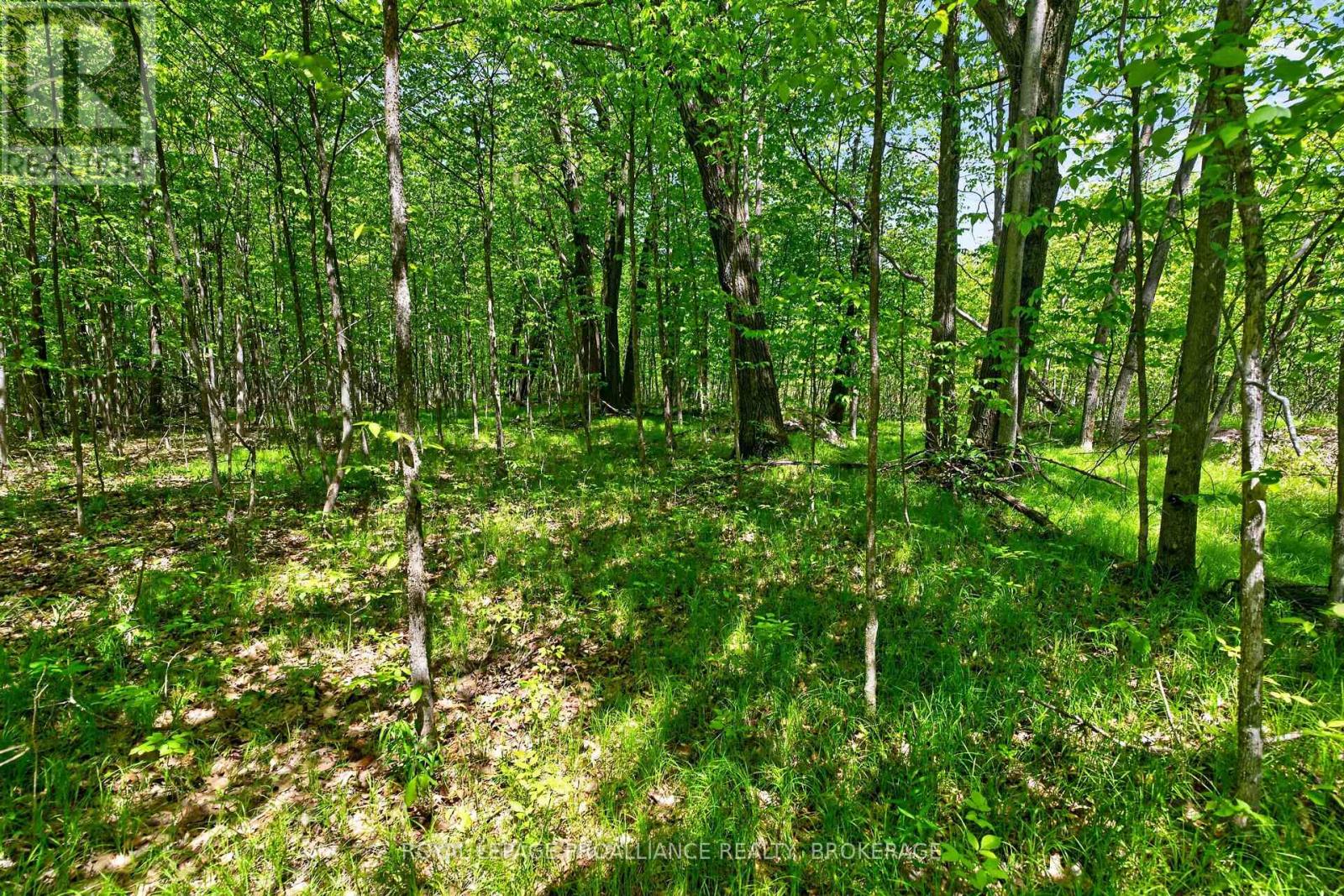 PT LTS 12 & 13 DEVIL LAKE ROAD