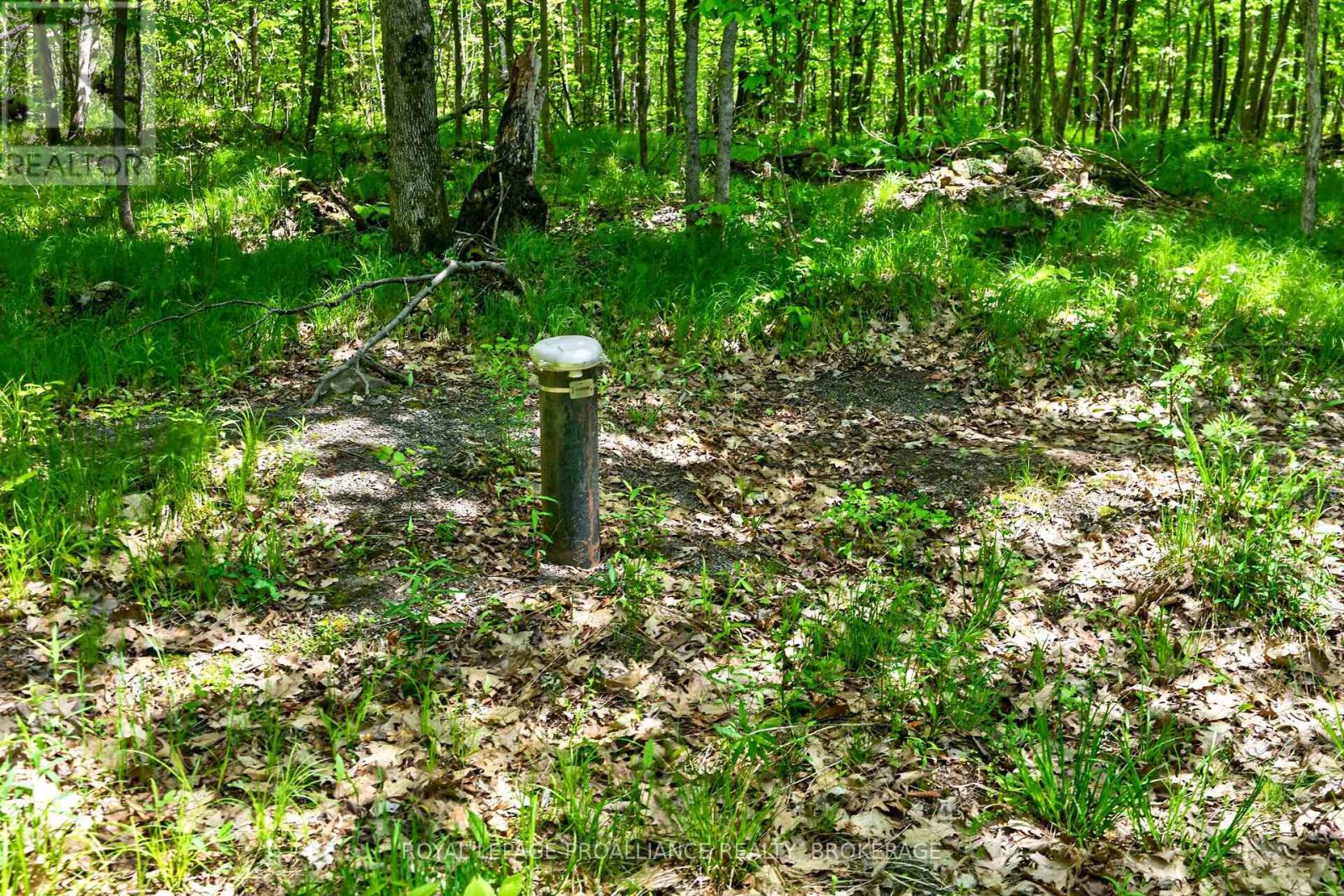 PT LTS 12 & 13 DEVIL LAKE ROAD