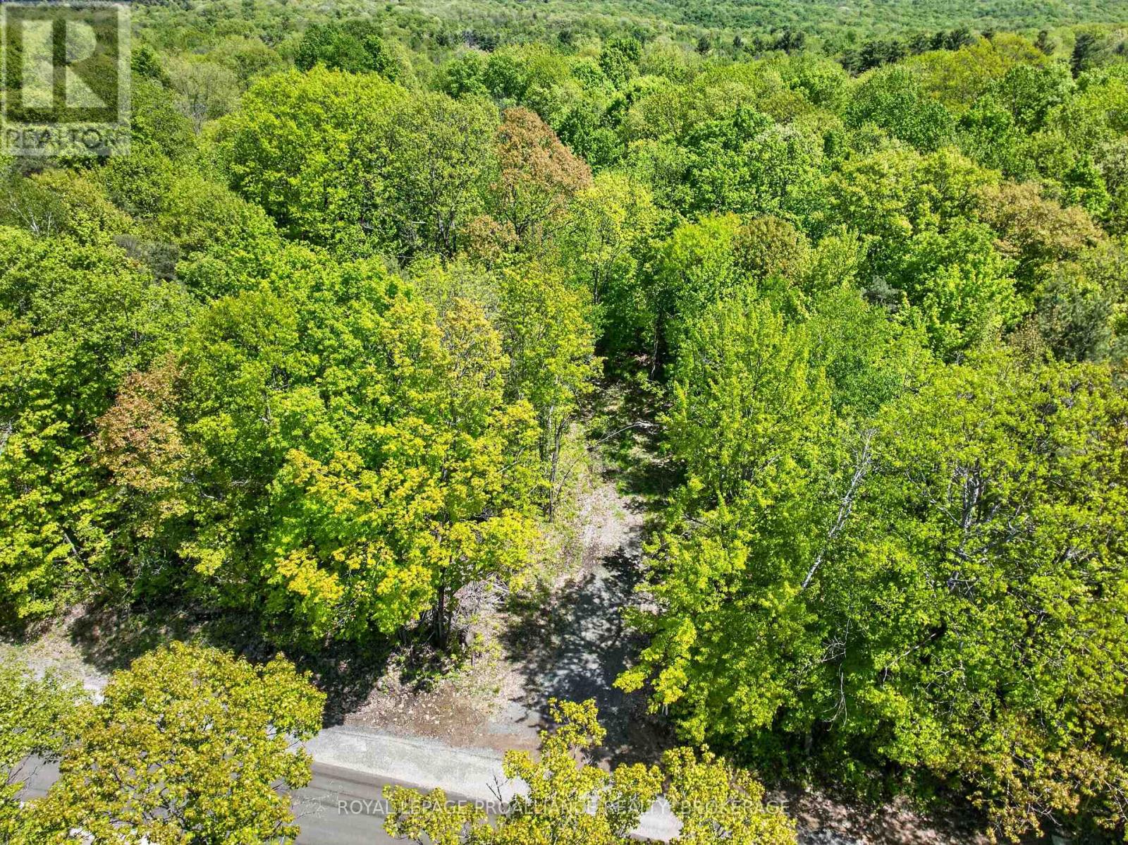 PT LTS 12 & 13 DEVIL LAKE ROAD
