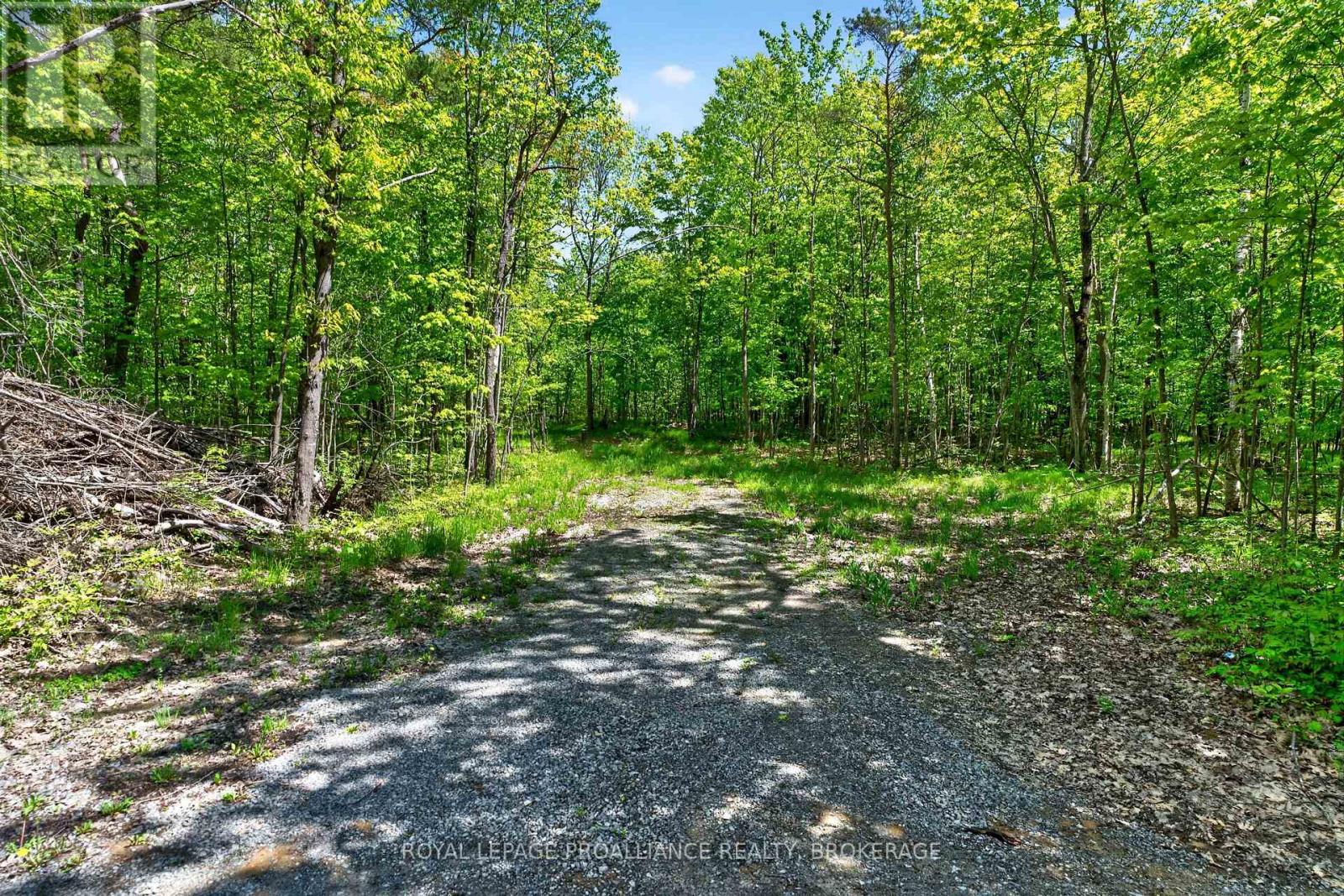PT LTS 12 & 13 DEVIL LAKE ROAD