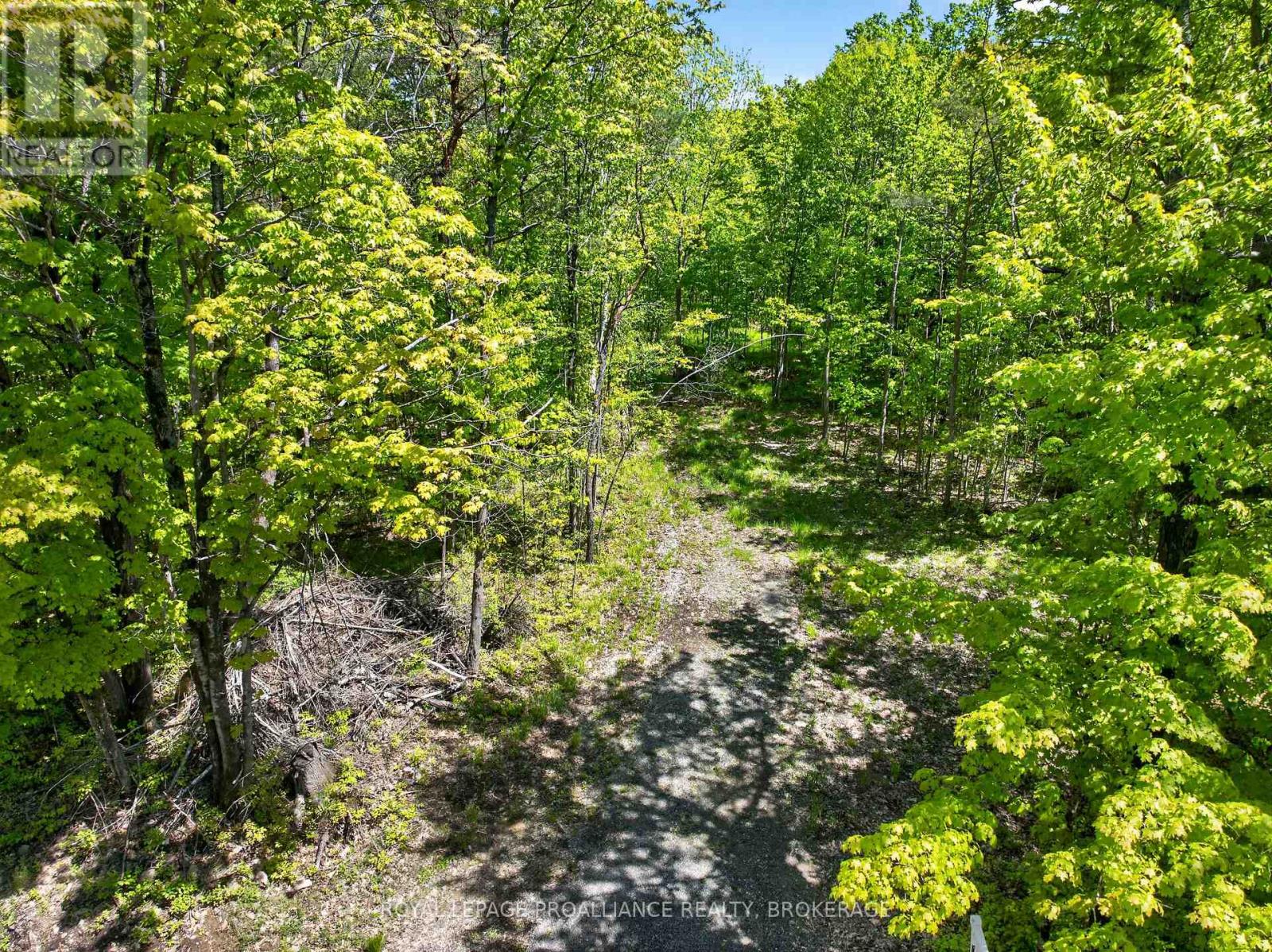 PT LTS 12 & 13 DEVIL LAKE ROAD