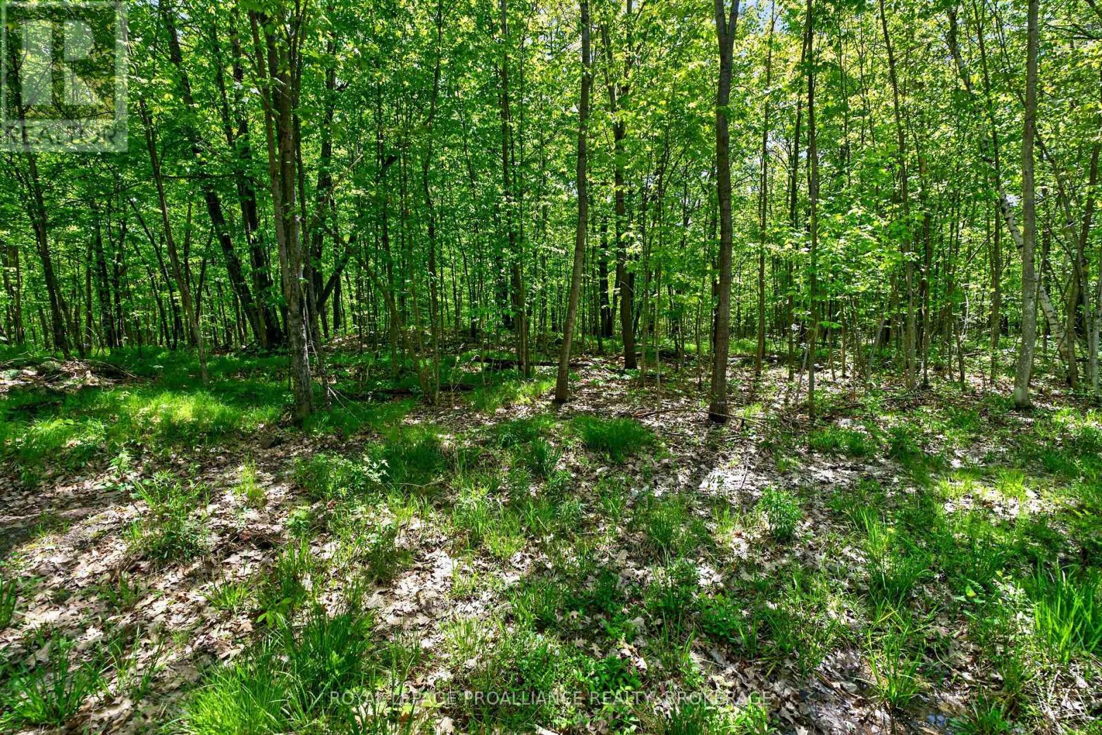 PT LTS 12 & 13 DEVIL LAKE ROAD