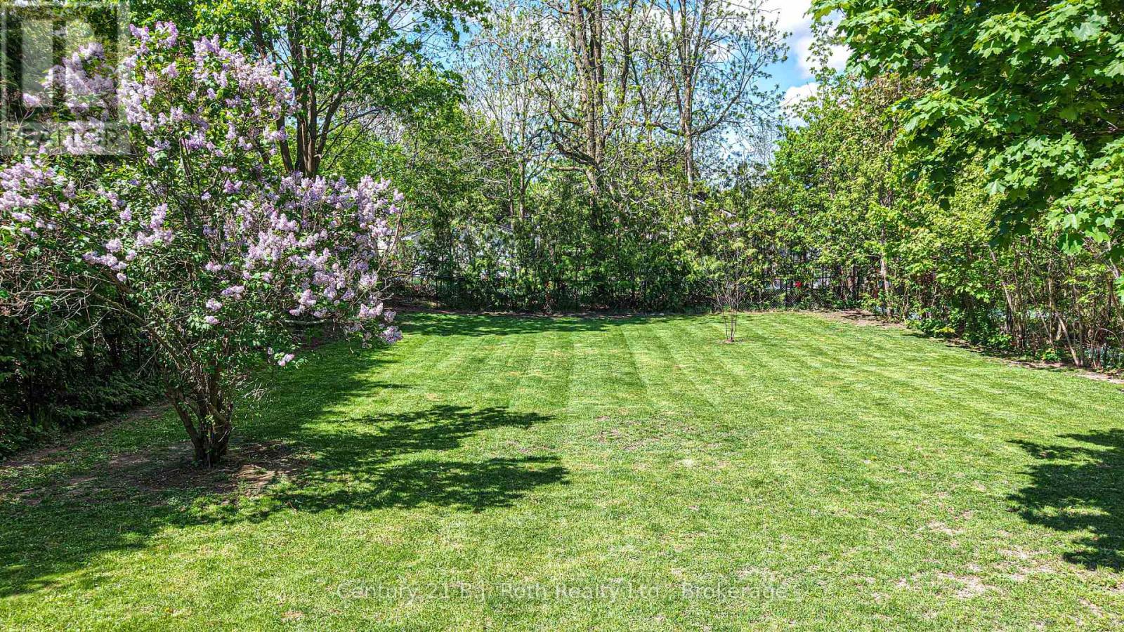 359 MILLARD STREET - 32