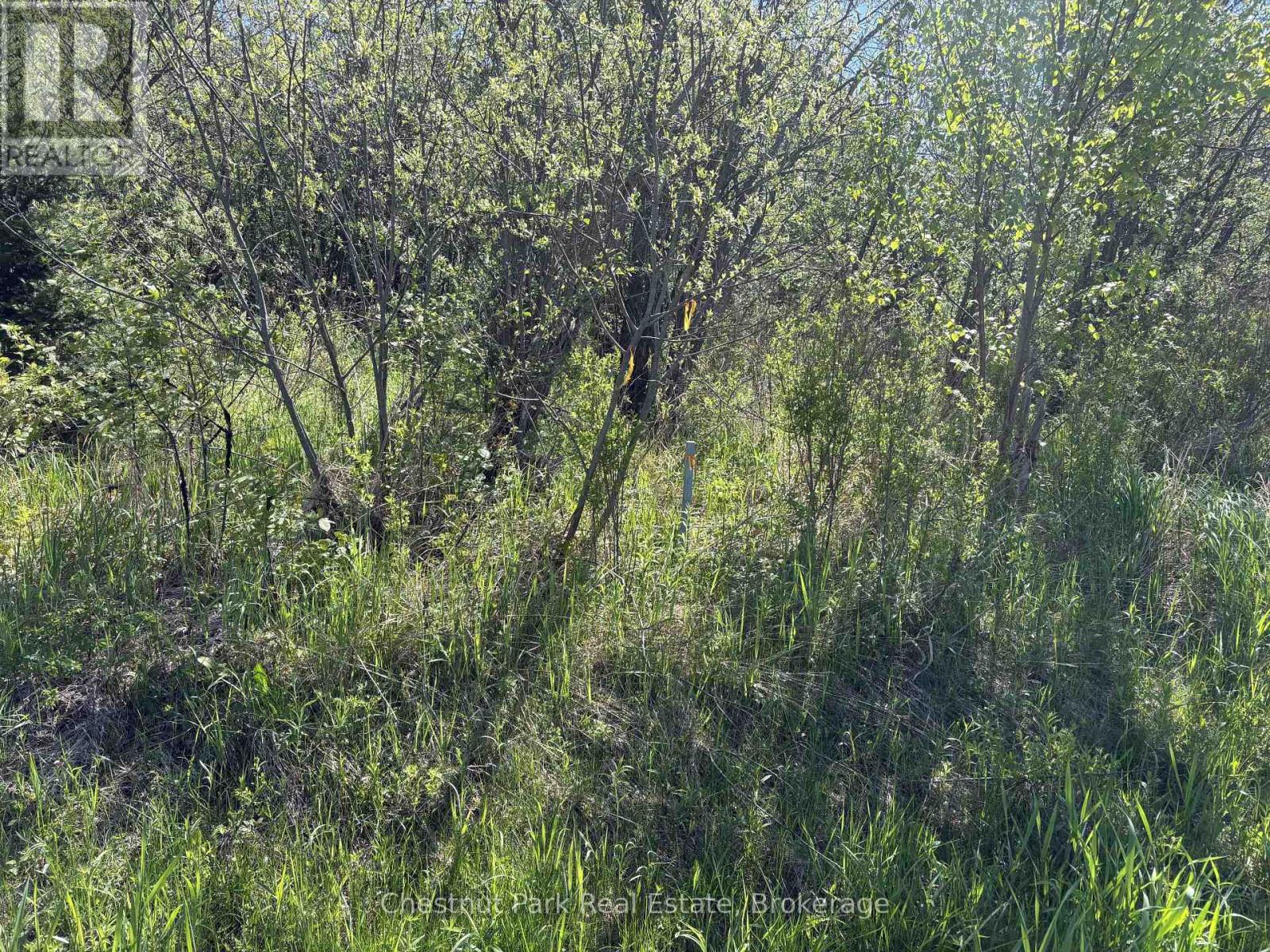 Golf Course Road — photo 17