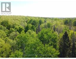 Con 13, Pt Lot 21, Part 1 Golf Course Road, Chisholm, ON P0H1Z0 Photo 8
